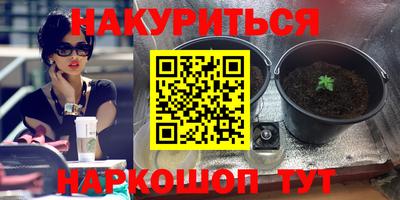 гидропоника Ачхой-Мартан