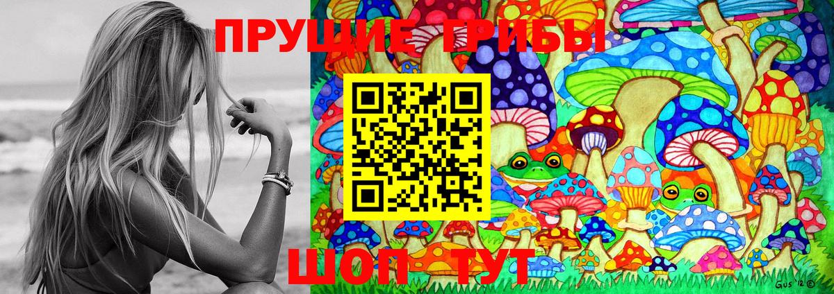 Псилоцибиновые грибы Cubensis  Вход с VPN  Бор  Псилоцибиновые грибы Magic Shrooms 