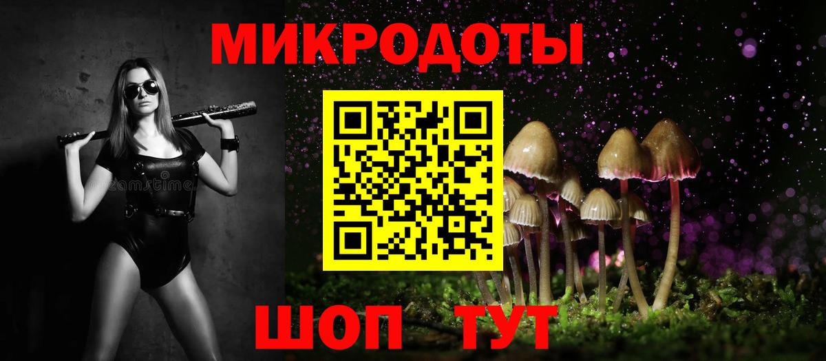 Галлюциногенные грибы Psilocybe Бор
